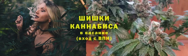 соль ск Богданович