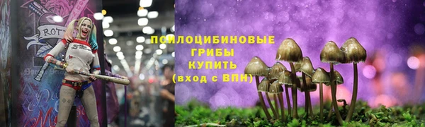 герыч Богородицк