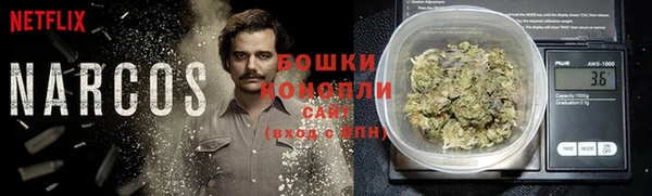 соль ск Богданович
