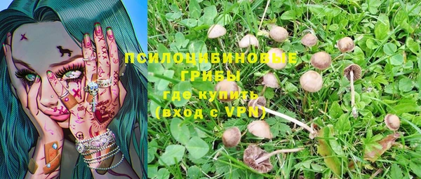 a pvp Богородск