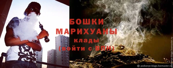 соль ск Богданович